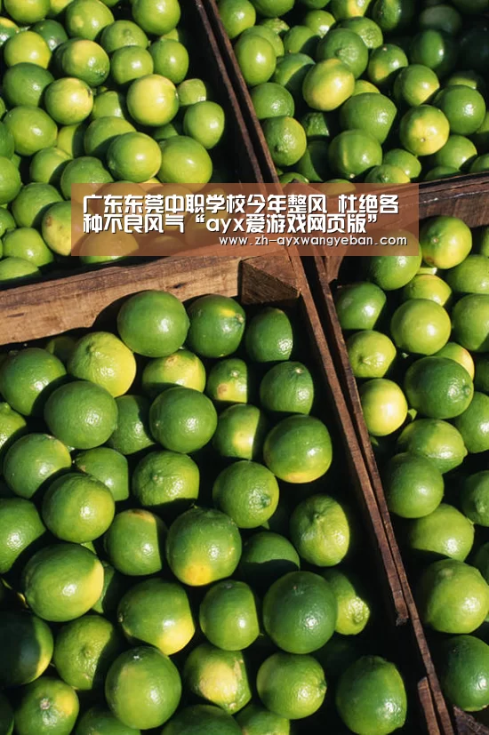 ayx爱游戏网页版