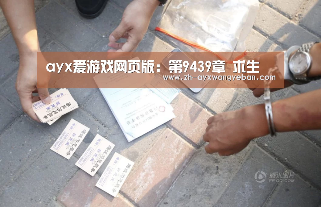 ayx爱游戏网页版