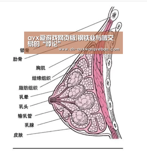 ayx爱游戏网页版