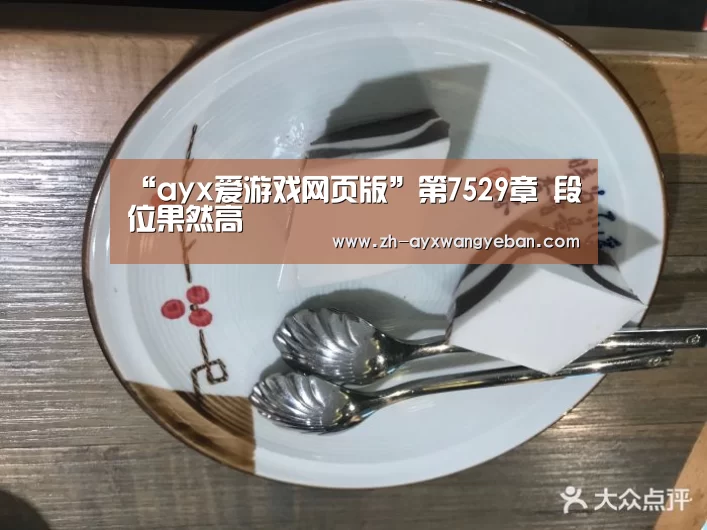 ayx爱游戏网页版