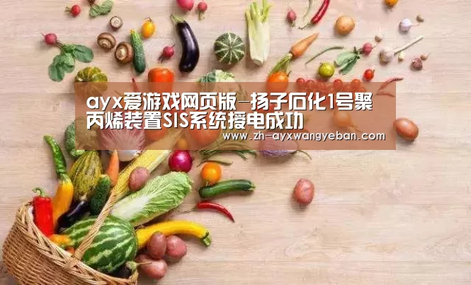 ayx爱游戏网页版-扬子石化1号聚丙烯装置SIS系统授电成功(图2) ayx爱游戏网页版