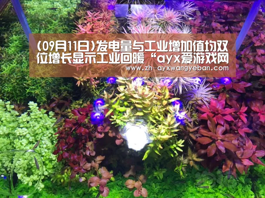 ayx爱游戏网页版