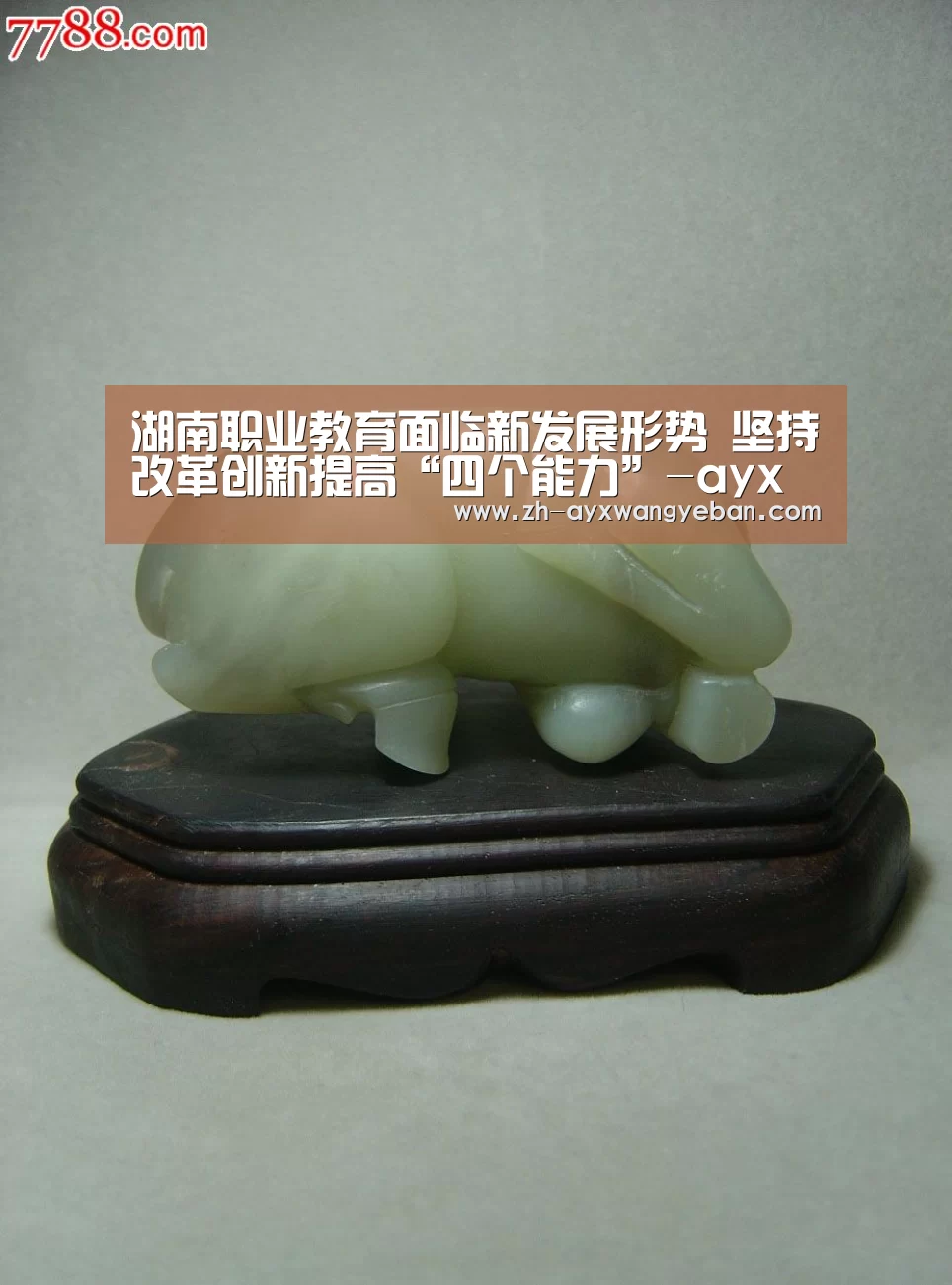湖南职业教育面临新发展形势 坚持改革创新提高“四个能力”-ayx爱游戏网页版(图1) ayx爱游戏网页版