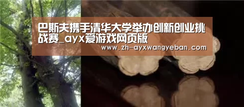 ayx爱游戏网页版