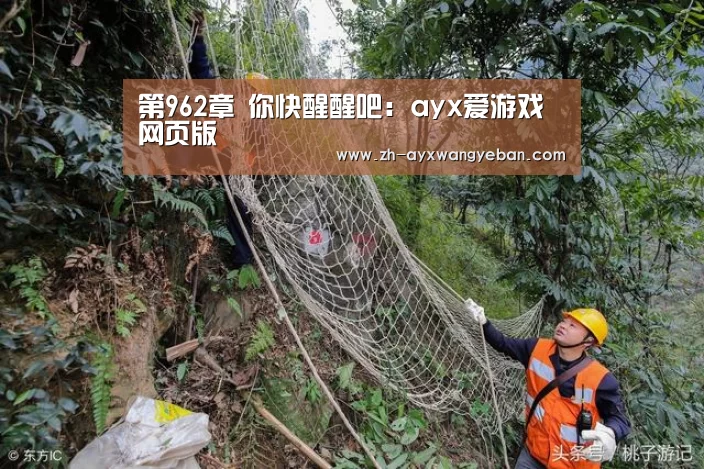 ayx爱游戏网页版
